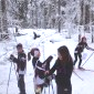 Ski orientation